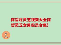阿哲吃灵芝视频大全阿哲灵芝食用实录合集)