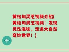 黄松甸灵芝视频介绍(黄松甸灵芝视频：发现灵性滋味，走进大自然奇妙世界！)