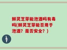 鲜灵芝芽能泡酒吗有毒吗(鲜灵芝芽能否用于泡酒？是否安全？)