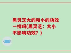 黑灵芝大的和小的功效一样吗(黑灵芝：大小不影响功效？)