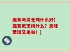 鹿茸与灵芝炖什么好(鹿茸灵芝炖什么？美味菜谱又来啦！)
