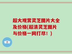 超大观赏灵芝图片大全及价格(超清灵芝图片与价格一网打尽！)