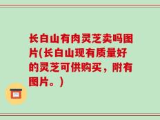 长白山有肉灵芝卖吗图片(长白山现有质量好的灵芝可供购买，附有图片。)