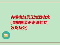 青橄榄加灵芝泡酒功效(青橄榄灵芝泡酒的功效及益处)