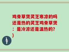 鸡骨草煲灵芝寒凉的吗还是热的灵芝鸡骨草煲：是冷凉还是温热的？)