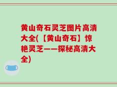 黄山奇石灵芝图片高清大全(【黄山奇石】惊艳灵芝——探秘高清大全)