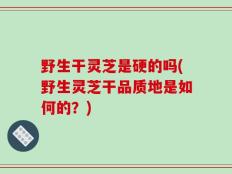 野生干灵芝是硬的吗(野生灵芝干品质地是如何的？)