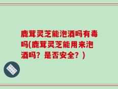 鹿茸灵芝能泡酒吗有毒吗(鹿茸灵芝能用来泡酒吗？是否安全？)