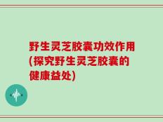 野生灵芝胶囊功效作用(探究野生灵芝胶囊的健康益处)