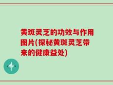 黄斑灵芝的功效与作用图片(探秘黄斑灵芝带来的健康益处)