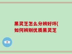 黑灵芝怎么分辨好坏(如何辨别优质黑灵芝