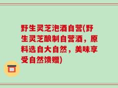 野生灵芝泡酒自营(野生灵芝酿制自营酒，原料选自大自然，美味享受自然馈赠)