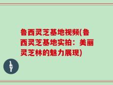 鲁西灵芝基地视频(鲁西灵芝基地实拍：美丽灵芝林的魅力展现)
