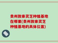 贵州敦寨灵芝种植基地在哪里(贵州敦寨灵芝种植基地的具体位置)