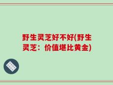 野生灵芝好不好(野生灵芝：价值堪比黄金)
