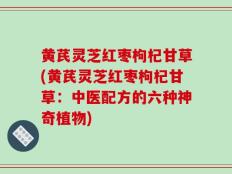 黄芪灵芝红枣枸杞甘草(黄芪灵芝红枣枸杞甘草：中医配方的六种神奇植物)