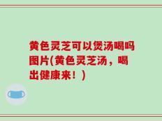 黄色灵芝可以煲汤喝吗图片(黄色灵芝汤，喝出健康来！)