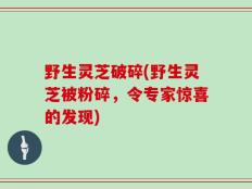 野生灵芝破碎(野生灵芝被粉碎，令专家惊喜的发现)