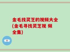 金毛找灵芝的视频大全(金毛寻找灵芝视 频全集)