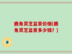 鹿角灵芝盆景价格(鹿角灵芝盆景多少钱？)