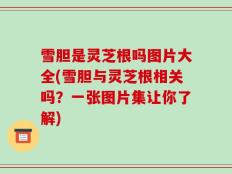 雪胆是灵芝根吗图片大全(雪胆与灵芝根相关吗？一张图片集让你了解)