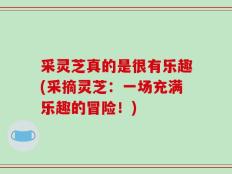 采灵芝真的是很有乐趣(采摘灵芝：一场充满乐趣的冒险！)