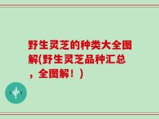 野生灵芝的种类大全图解(野生灵芝品种汇总，全图解！)
