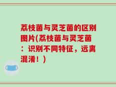 荔枝菌与灵芝菌的区别图片(荔枝菌与灵芝菌：识别不同特征，远离混淆！)