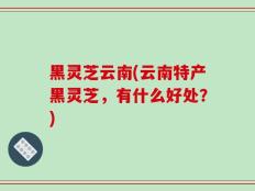 黑灵芝云南(云南特产黑灵芝，有什么好处？)