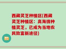 西藏灵芝种植区(西藏灵芝种植区：高海拔种植灵芝，已成为当地农民致富新途径)