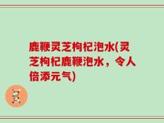 鹿鞭灵芝枸杞泡水(灵芝枸杞鹿鞭泡水，令人倍添元气)