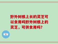 野外树根上长的灵芝可以食用吗野外树根上的灵芝，可供食用吗？