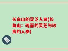 长白山的灵芝人参(长白山：瑰丽的灵芝与珍贵的人参)