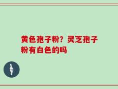 黄色孢子粉？灵芝孢子粉有白色的吗