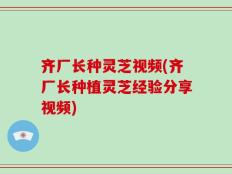 齐厂长种灵芝视频(齐厂长种植灵芝经验分享视频)