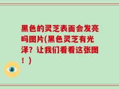 黑色的灵芝表面会发亮吗图片(黑色灵芝有光泽？让我们看看这张图！)