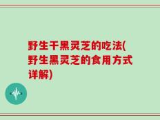 野生干黑灵芝的吃法(野生黑灵芝的食用方式详解)