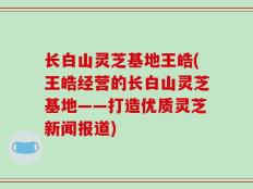 长白山灵芝基地王皓(王皓经营的长白山灵芝基地——打造优质灵芝新闻报道)