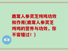 鹿茸人参灵芝炖鸡功效和作用(鹿茸人参灵芝炖鸡的营养与功效，你不容错过！)