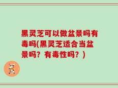 黑灵芝可以做盆景吗有毒吗(黑灵芝适合当盆景吗？有毒性吗？)