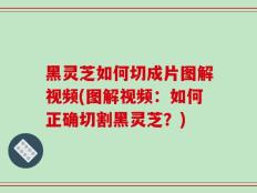 黑灵芝如何切成片图解视频(图解视频：如何正确切割黑灵芝？)