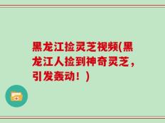 黑龙江捡灵芝视频(黑龙江人捡到神奇灵芝，引发轰动！)