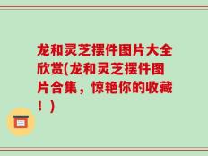 龙和灵芝摆件图片大全欣赏(龙和灵芝摆件图片合集，惊艳你的收藏！)