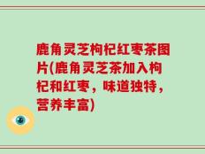 鹿角灵芝枸杞红枣茶图片(鹿角灵芝茶加入枸杞和红枣，味道独特，营养丰富)