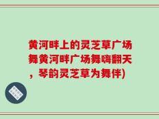 黄河畔上的灵芝草广场舞黄河畔广场舞嗨翻天，琴韵灵芝草为舞伴)