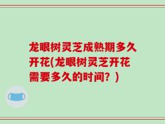 龙眼树灵芝成熟期多久开花(龙眼树灵芝开花需要多久的时间？)