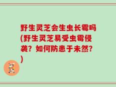 野生灵芝会生虫长霉吗(野生灵芝易受虫霉侵袭？如何防患于未然？)
