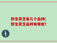 野生灵芝有几个品种(野生灵芝品种有哪些？