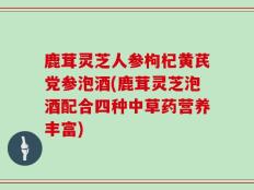 鹿茸灵芝人参枸杞黄芪党参泡酒(鹿茸灵芝泡酒配合四种中草药营养丰富)