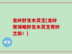龙岭野生木灵芝(龙岭现领略野生木灵芝奇妙之旅！)